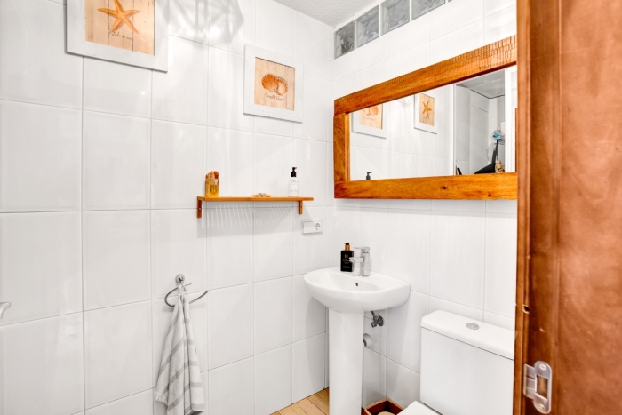 Cloakroom Toilet